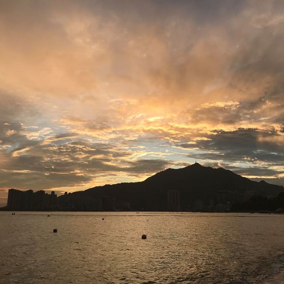 Meet your Posher, Sara - Picture 1 of 1